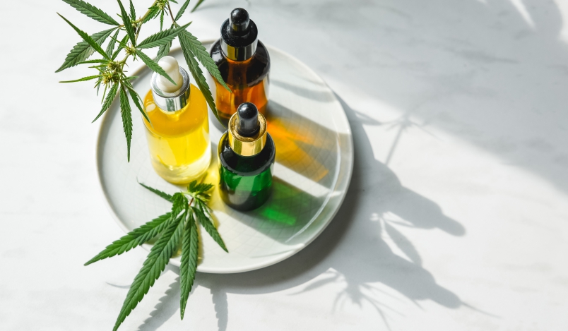 Health Practices And Policies of CBD