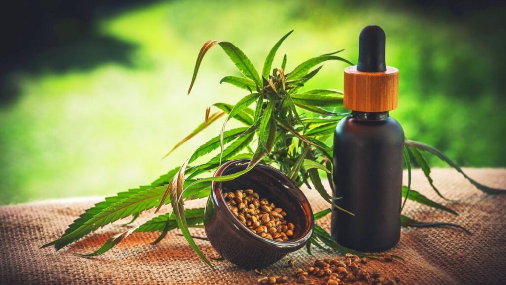 How CBD Works in the Body