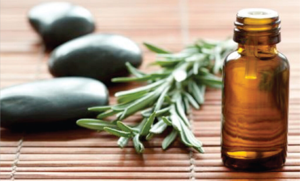 The Role of CBD in Managing Seasonal Allergies