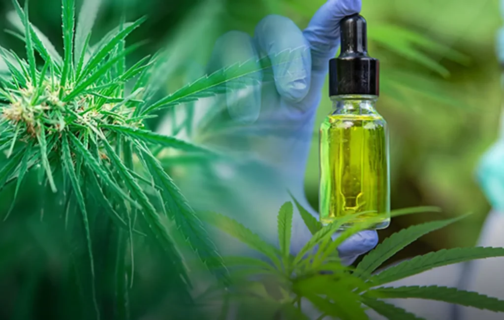 CBD in Managing Chronic Inflammation