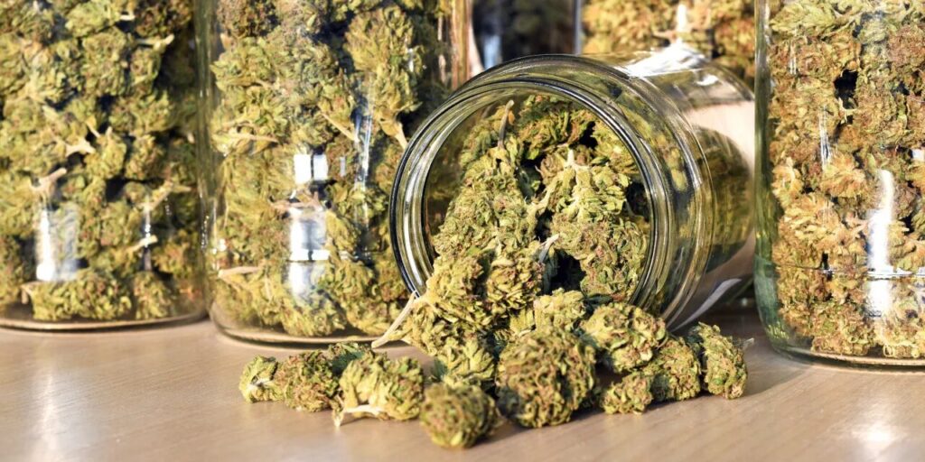 Weed Edibles vs. Smoking What’s Safer and More Effective