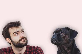 CBD Pets vs. Human CBD