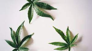 Types of CBD