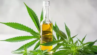 CBD for Wellness Routines