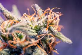 CBD for Self-Care Routine